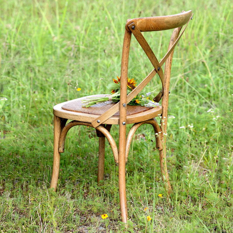 x back dining chair in field